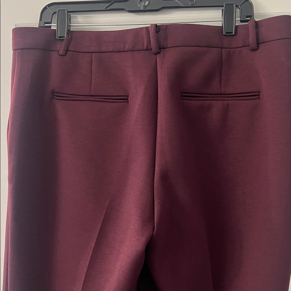 Ann Taylor Double Knit Pants